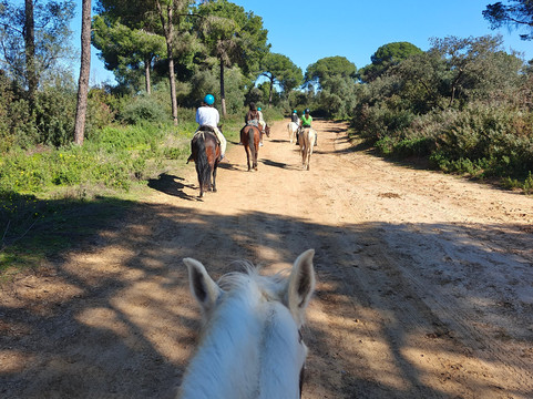 Centro Ecuestre Entrepinares-塞维利亚必去景点