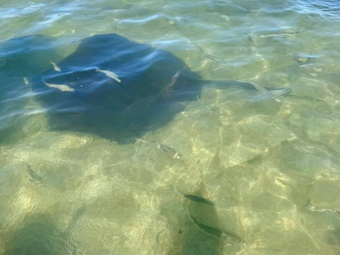 Dive Tatapouri-Gisborne Region必去景点