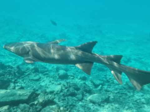 Himmafushi Scuba Adventure-Himmafushi Island必去景点