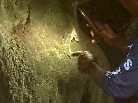 Costa Nativa Ecotours-Troncones必去景点