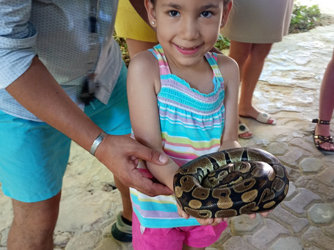 Croco Cun Zoo-从莫雷洛斯港必去景点