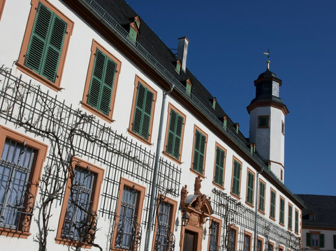 Ehemalige Benediktinerabtei-塞利根施塔特必去景点