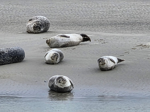 Club Nautique Berckois-Berck必去景点