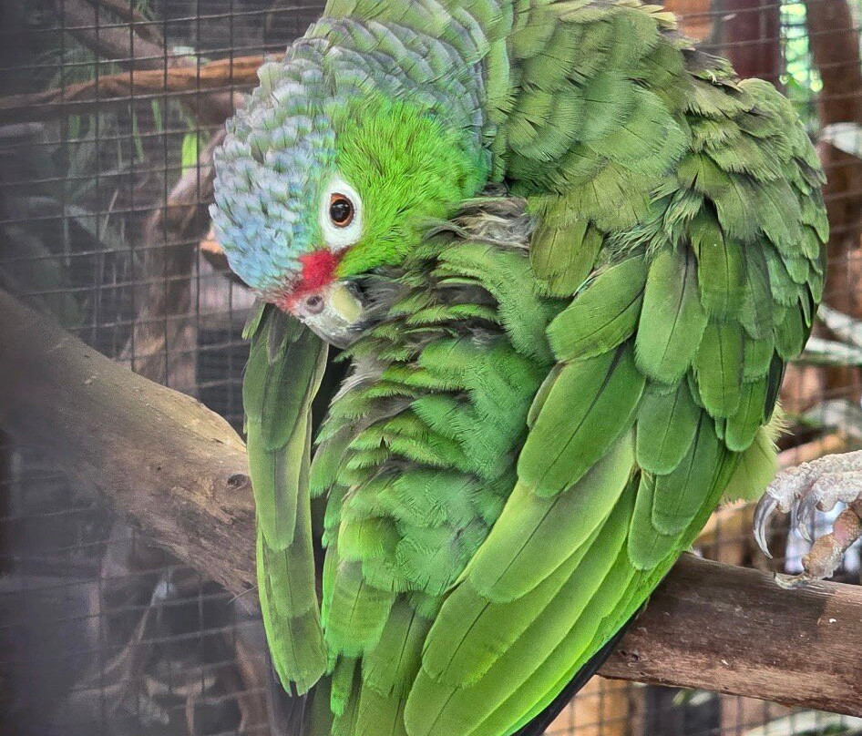 Greenway Nature Day Tours-利蒙港必去景点