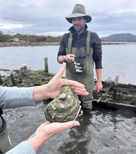 Oyster Bay Tours-科尔斯湾必去景点