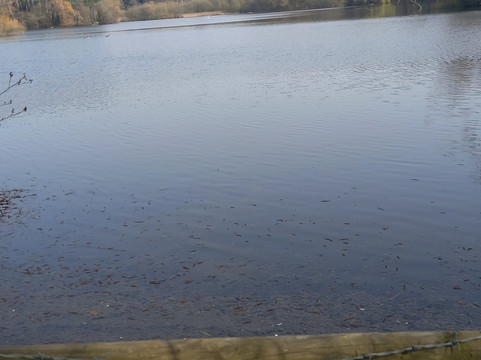 Frampton Court Estate-Frampton on Severn必去景点