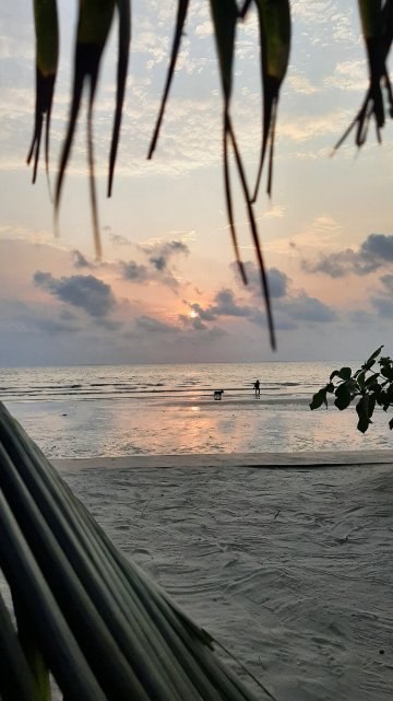 圣思雅象岛度假村-官方