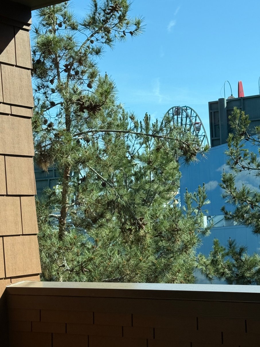 加州迪士尼大酒店-酒店景观