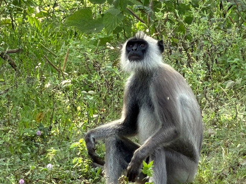 Southern Wild Safari-蒂瑟默哈拉默必去景点