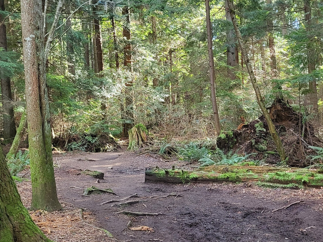 Soames Hill (aka Knob Hill)-吉布森斯必去景点