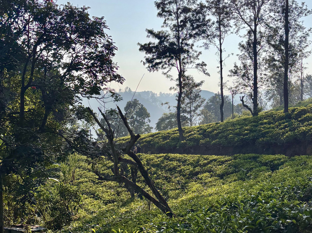 Araliya Lanka Tours-因都鲁瓦必去景点
