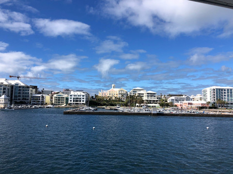 Sea Express Ferry Service-汉密尔顿必去景点