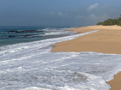 Turtle Conservation Project Turtle Watch-Rekawa必去景点