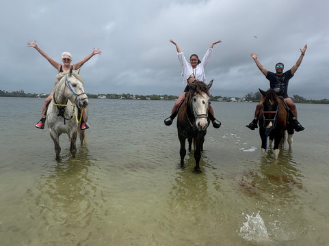 Florida Beach Horses-布雷登顿必去景点