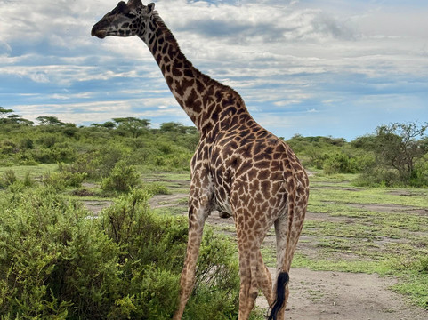 Mamnana Adventures-Olasiti必去景点