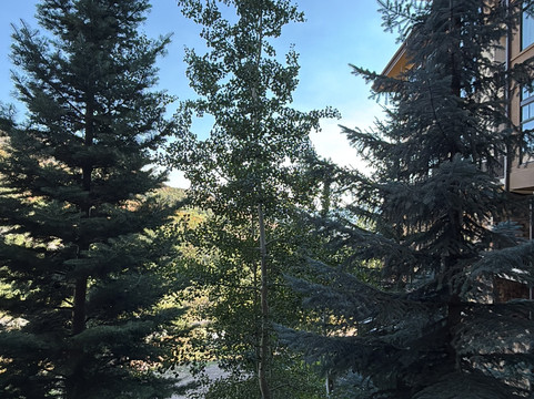 斯诺马斯总督酒店主图