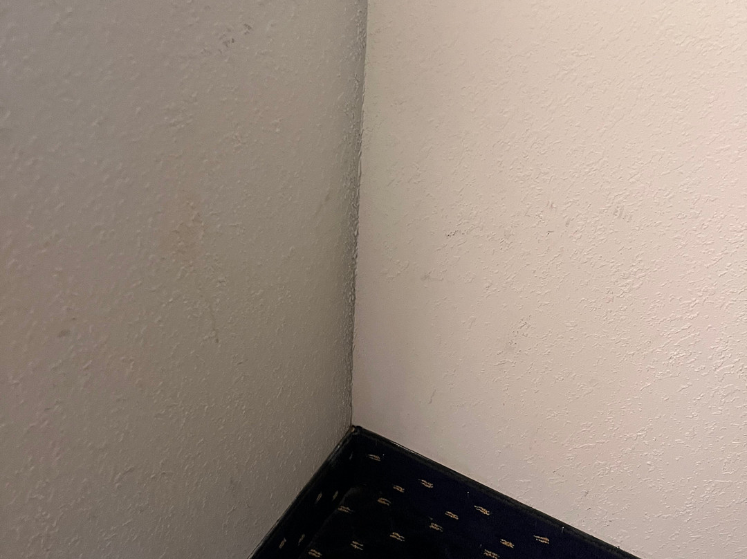 智选假日套房酒店里士满北阿什兰主图