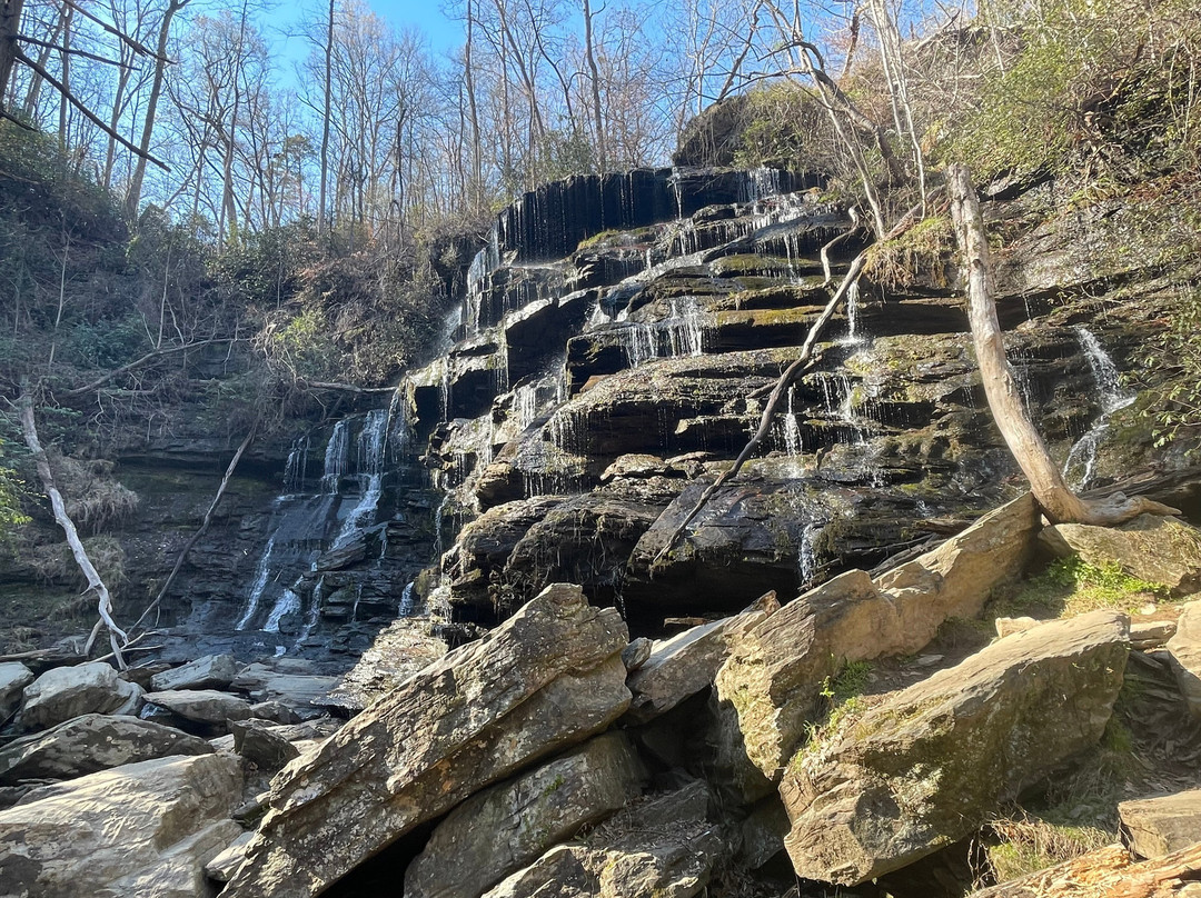 Yellow Branch Falls-Mountain Rest必去景点