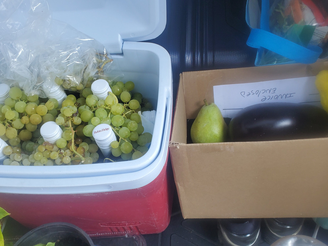 Robin Ridge Winery-Keremeos必去景点