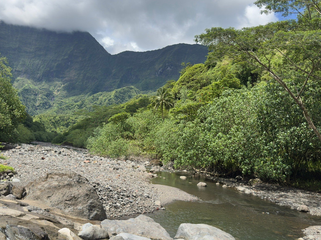 Ciao Tahiti Excursions 4x4 - Day Tours-普纳奥亚必去景点