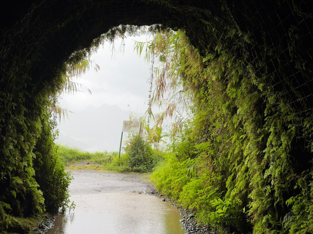 Ciao Tahiti Excursions 4x4 - Day Tours-普纳奥亚必去景点
