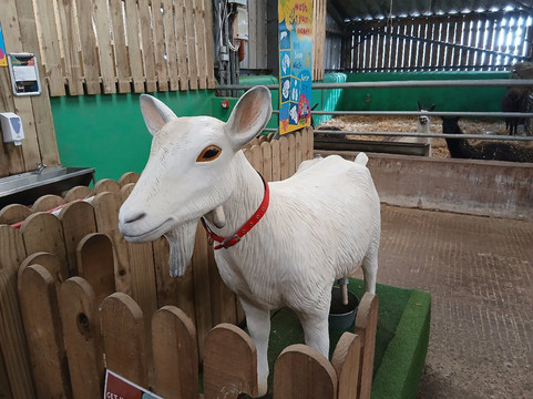 Walby Farm Park-Crosby on Eden必去景点
