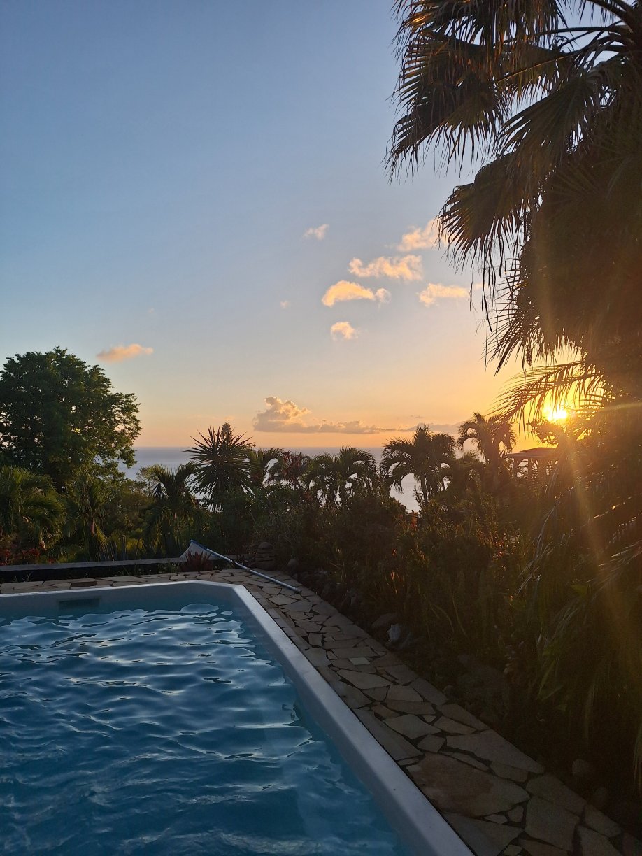 Domaine du Piton Bellevue-官方