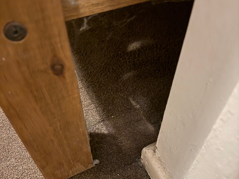 亨斯曼酒店主图