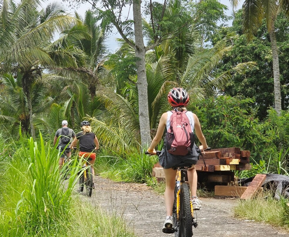 Bali Fun Bike Adventure-Pejeng Kaja必去景点