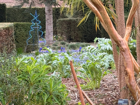 The Walled Gardens of Cannington-Cannington必去景点