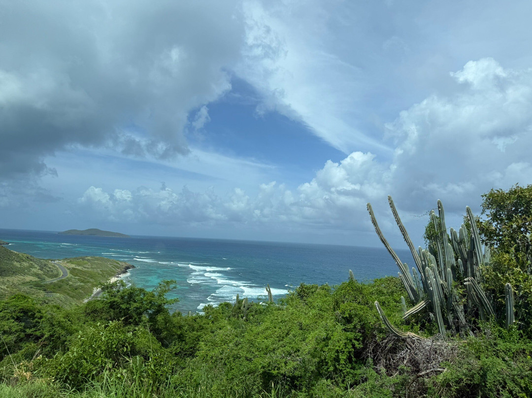 Point Udall-圣克鲁斯必去景点