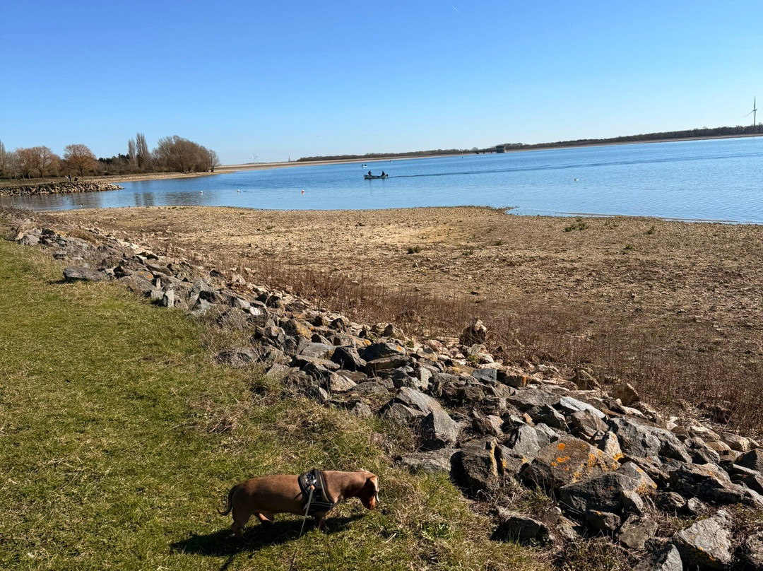 Grafham Water Centre-亨廷顿必去景点