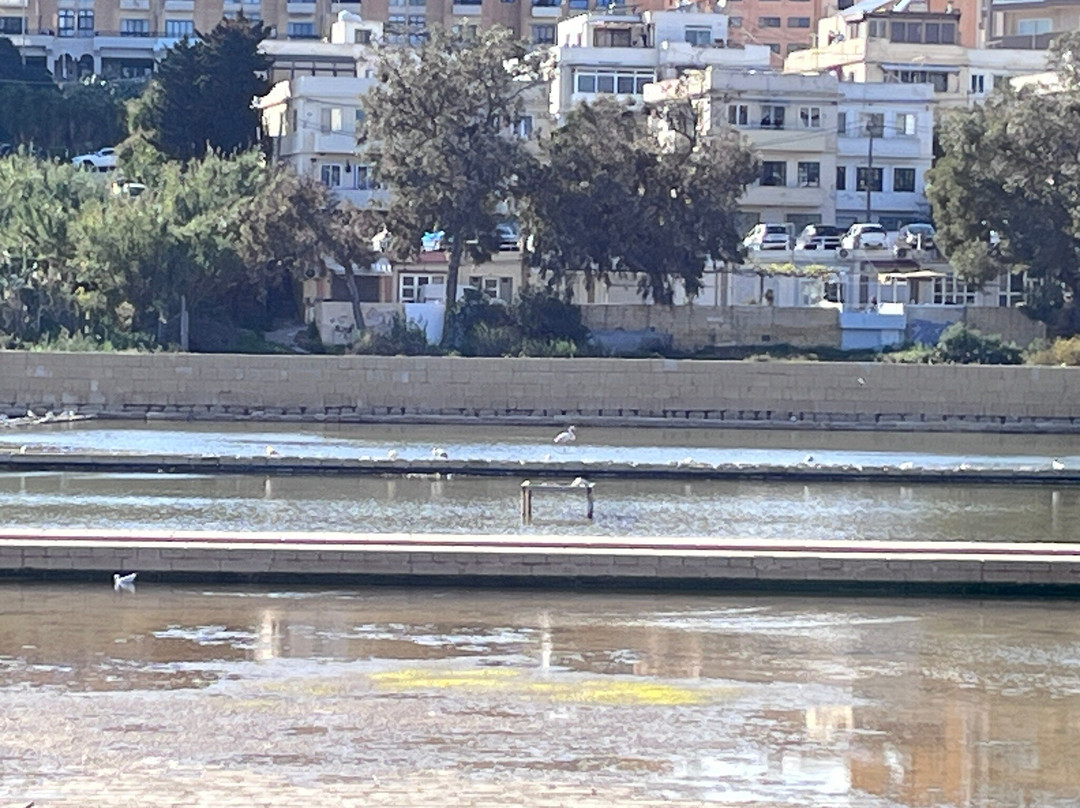 Salina Nature Reserve-Naxxar必去景点