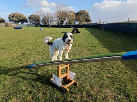 Winterton Hound Ground-Winterton-on-Sea必去景点