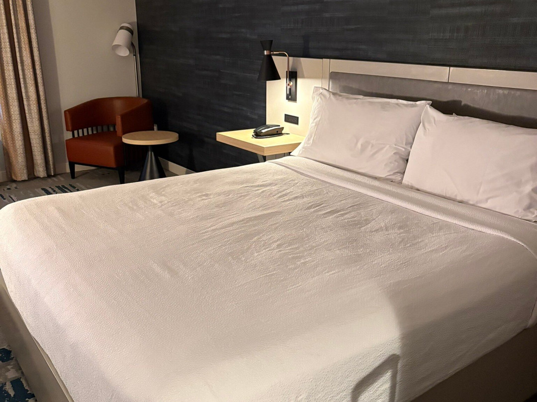 阿灵顿豪斯广场希尔顿花园酒店主图