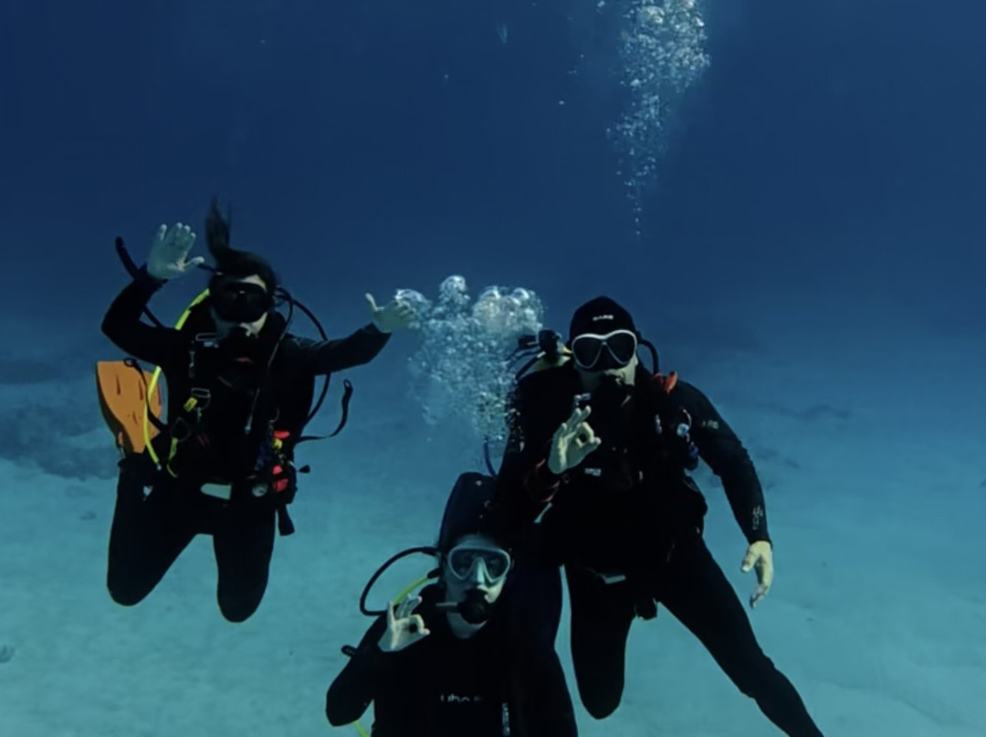 Scuba Life Cozumel-San Miguel de Cozumel必去景点