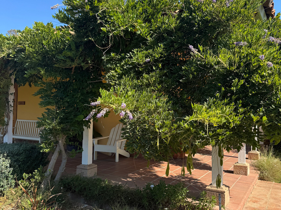 马特提克葡萄园卡索纳酒店主图