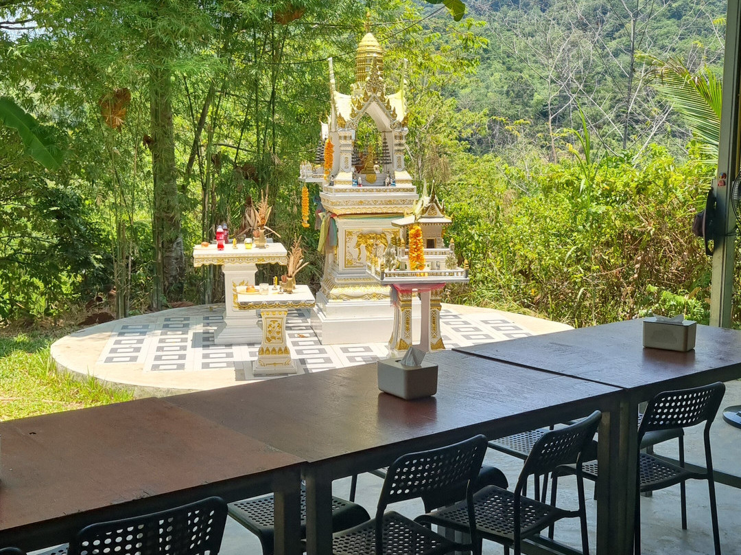 Phuket Elephant Care-奈通必去景点