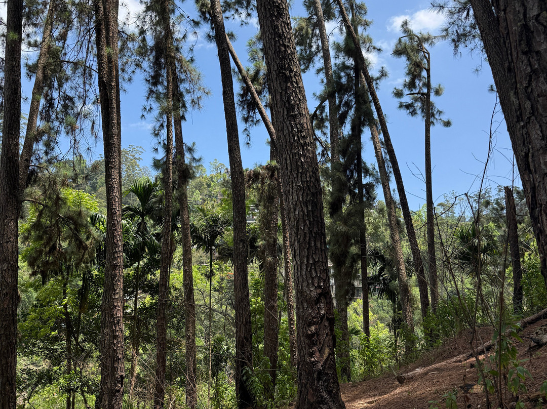 Zion Lanka Tours-Katana必去景点