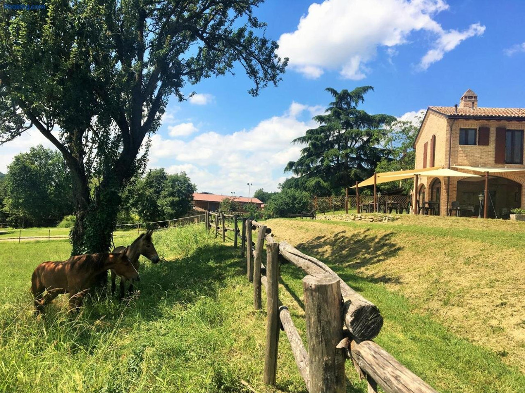 Il Colle del Falco