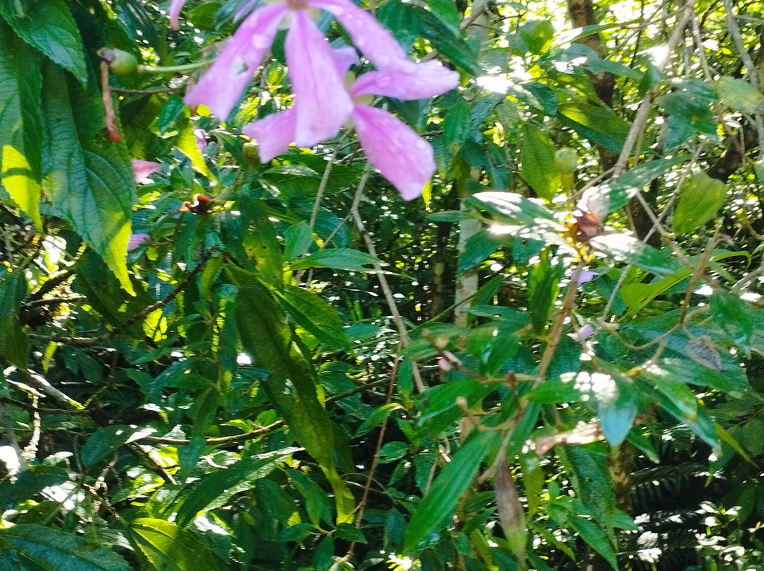 Tribo dos Canyons-Praia Grande必去景点