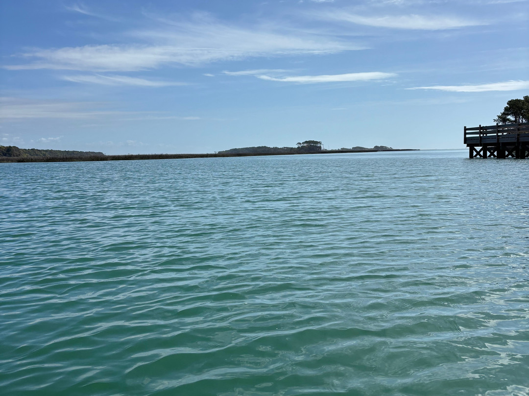 Kokopelli Surf Lessons Paddleboard Kayak Tours & Rentals-美特尔海滩必去景点