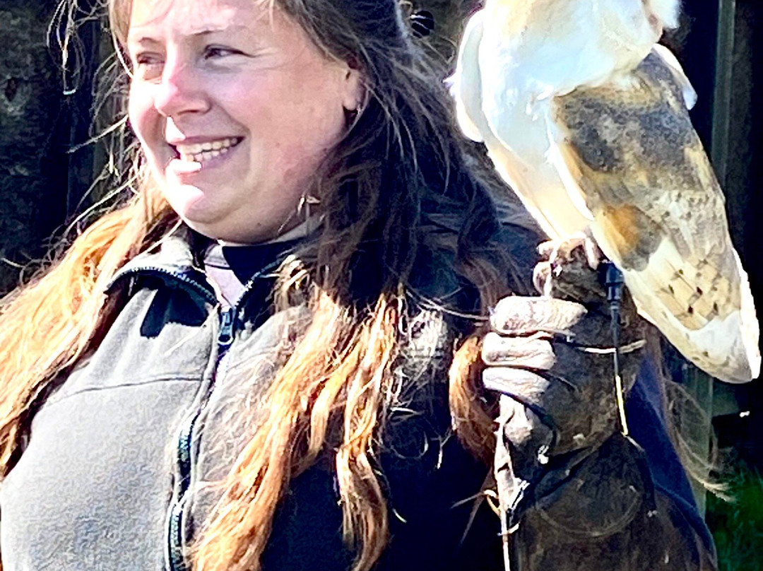 Bird on the Hand Falconry Experiences-Church Langton必去景点