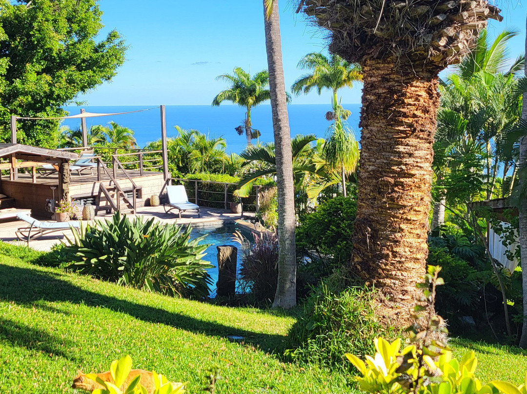 马伊多豪华别墅主图