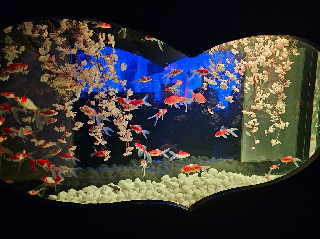 Art Aquarium-Ginza必去景点