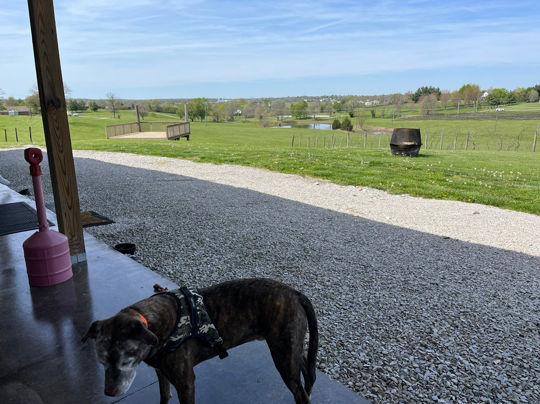 Rising Sons Home Farm Winery-Lawrenceburg必去景点