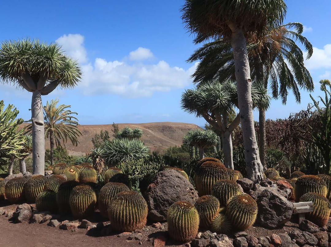 Jardin Botanico-La Lajita必去景点