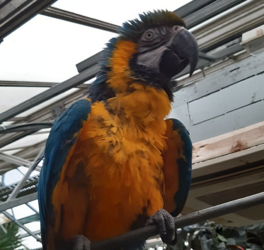 Bugtopia Hornsea Zoo-Hornsea必去景点