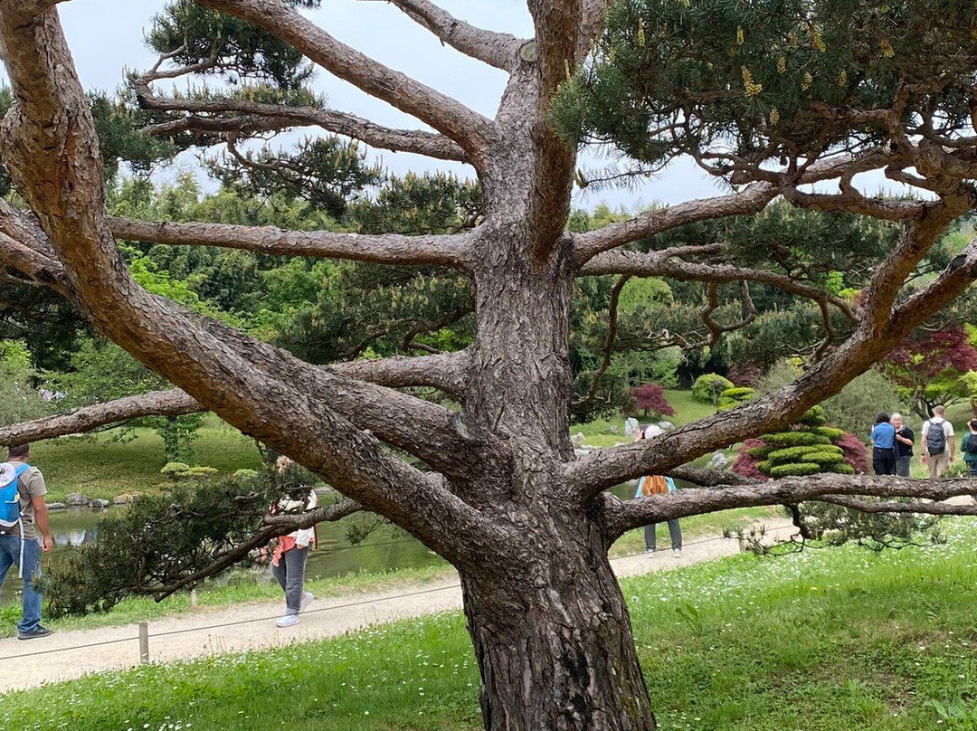 La Bambouseraie En Cévennes-Generargues必去景点