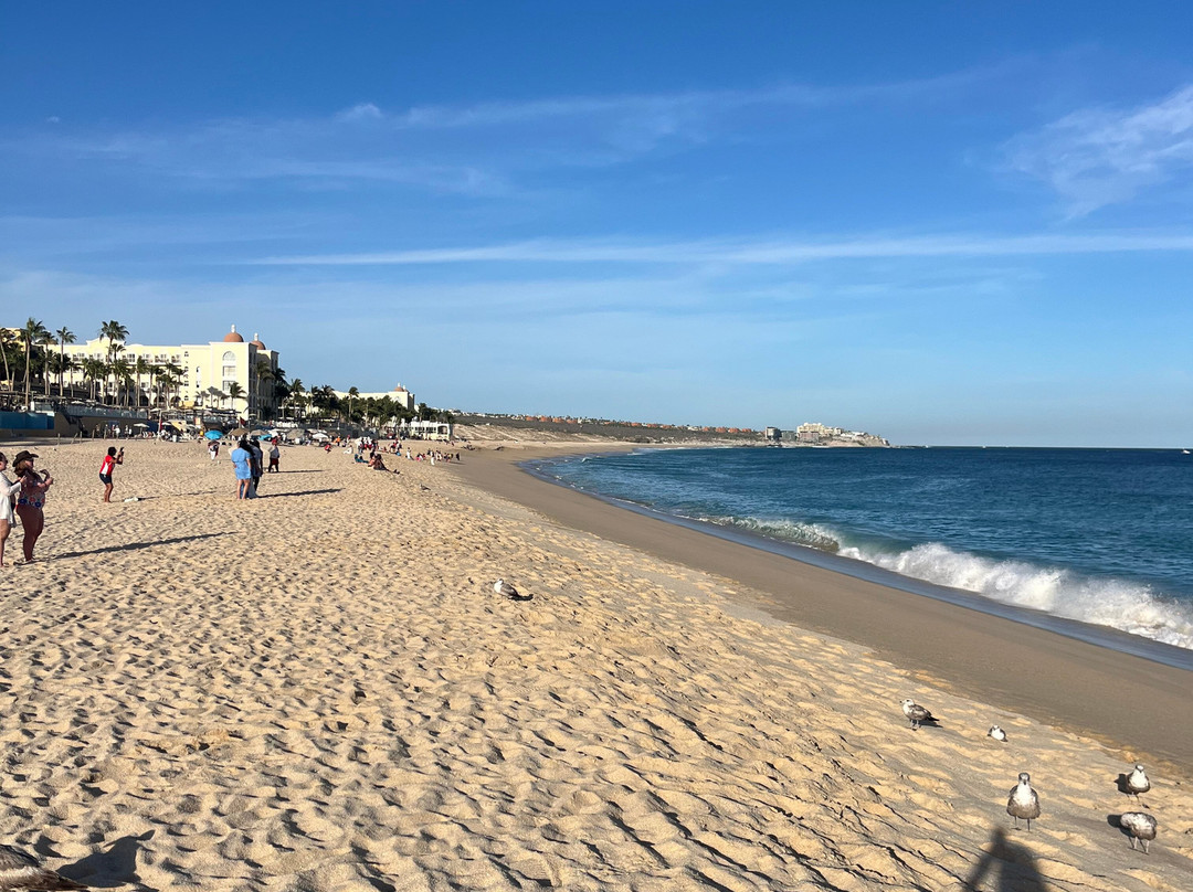 卡波圣卢卡斯悦宜湾奢享酒店-全包主图